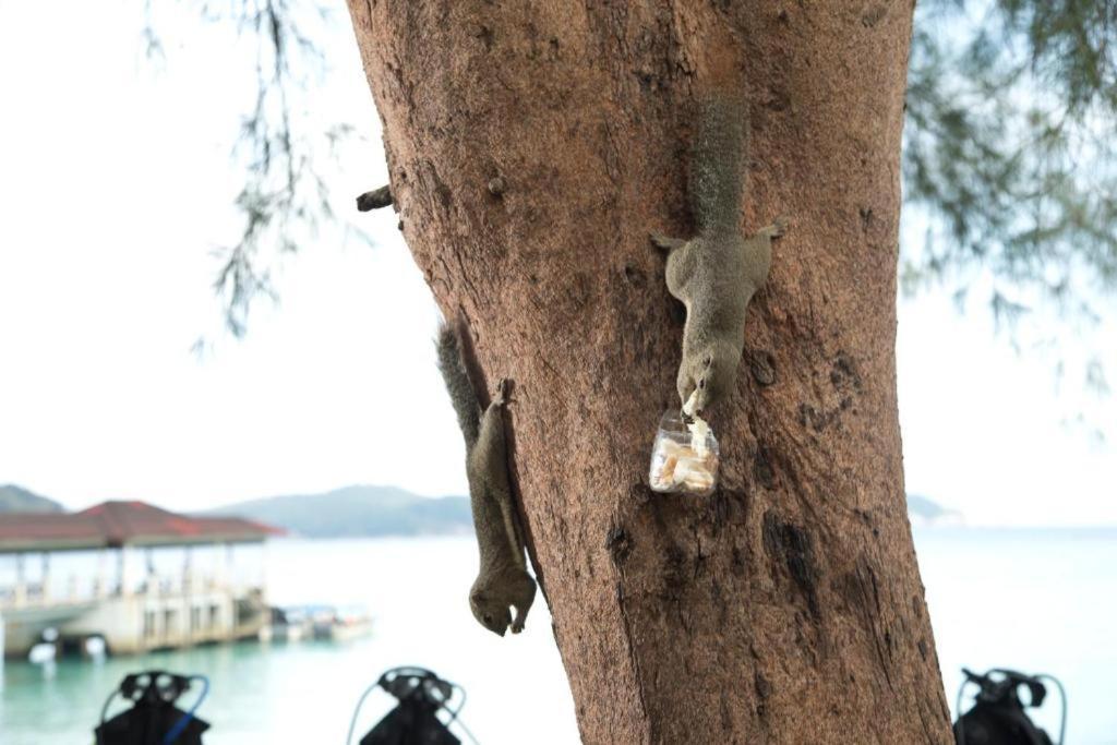 Perhentian Island Resort Eksteriør bilde