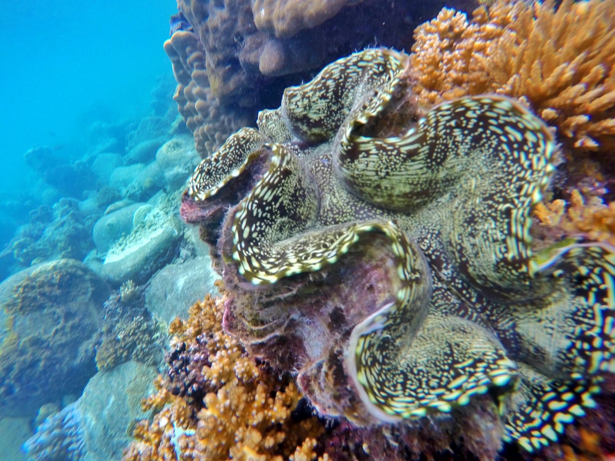 Perhentian Island Resort Eksteriør bilde